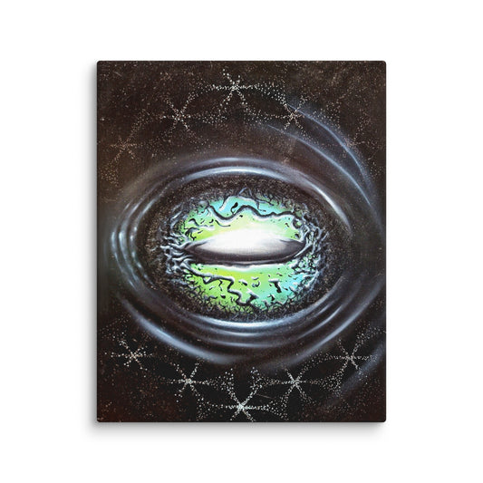 All-Seeing Toad Eye Canvas Print 16x20